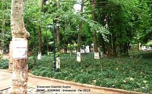 009-Quentin - Kunming 